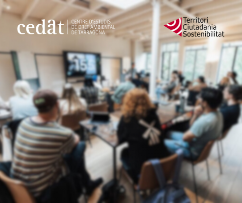 Premi Joan Pedrerol del Consell Social al projecte VERD